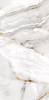 Statuario Gold 60x120