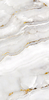 Statuario Gold 60x120