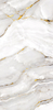 Statuario Gold 60x120