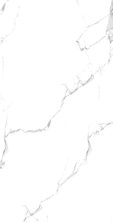 Carrara 60x120